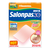 Salonpas 30 HOT Singapore